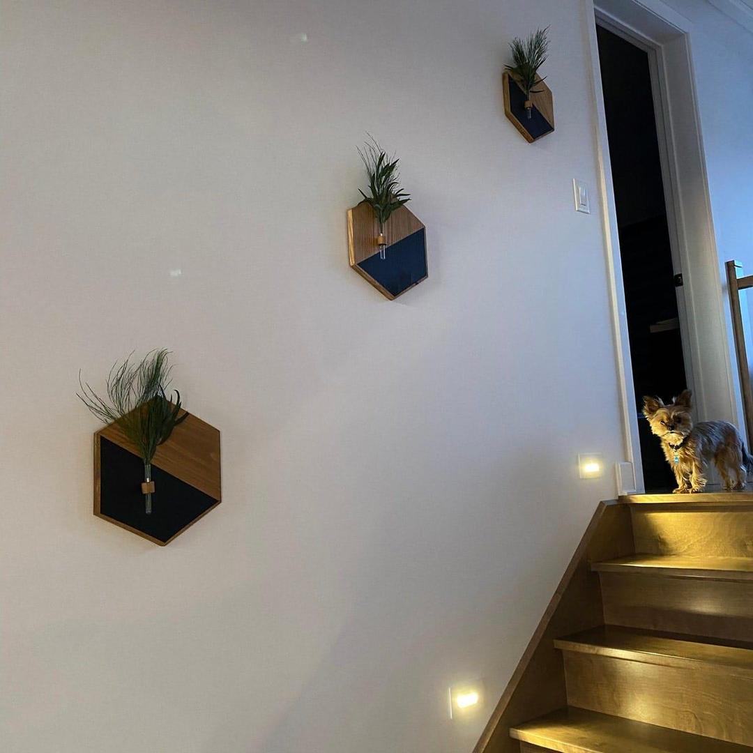 Modern MDF Wood Wall Planters | Elegant Home Wall Décor | CASOVIX